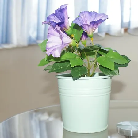 Ermioni Villas فيلة *