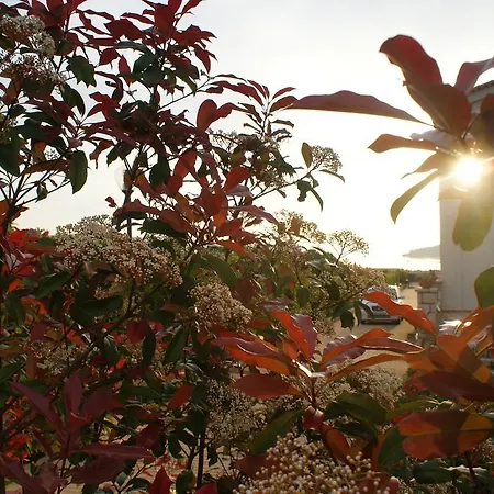 Ermioni Villas فيلة *